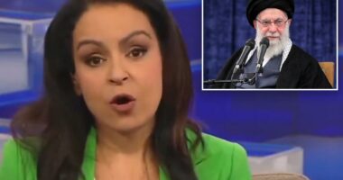 Australian TV host explodes at Iranâs Khamenei in Persian on air
